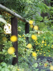 2014.ＧＷ　安曇野　お向かいのお宿