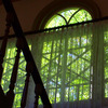 緑の窓