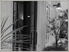 T.Y.Harbor Brewery　Ⅱ