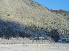 雪景色