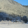 雪景色