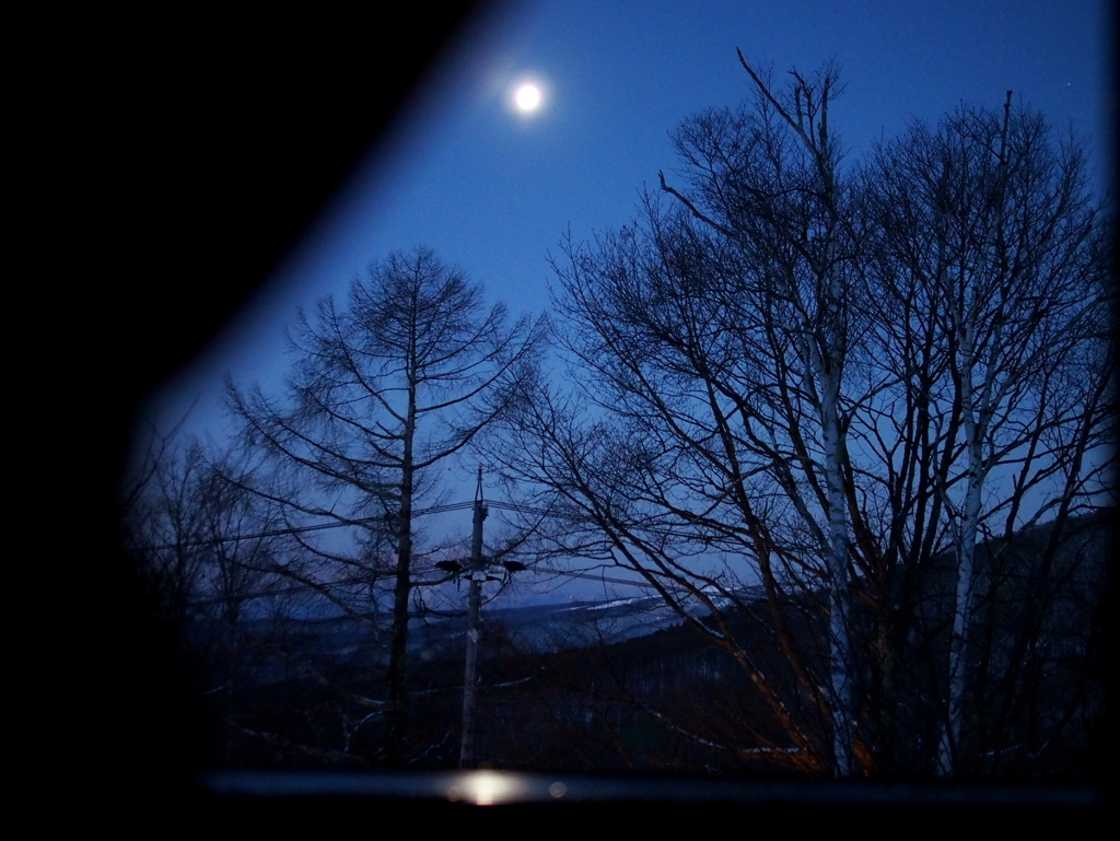 月が明るい夜でした By Chizu Id 写真共有サイト Photohito