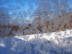 霜の模様