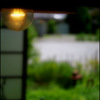 居心地の良いお蕎麦屋さん…2