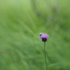 P8060351