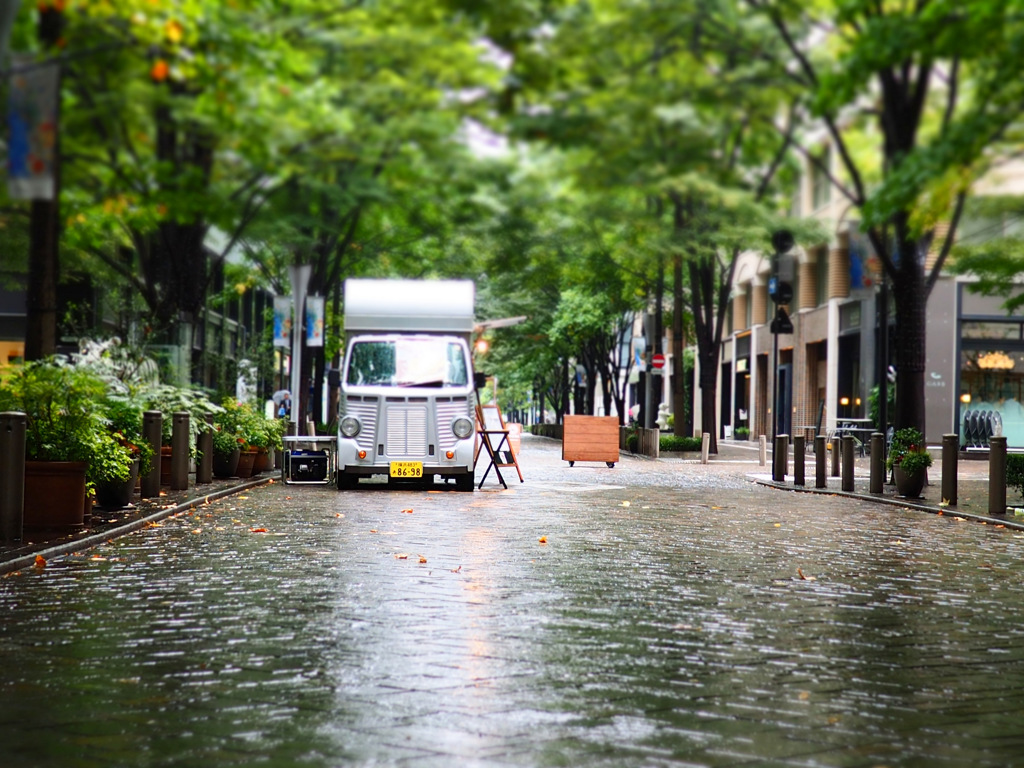 雨の丸の内　石畳