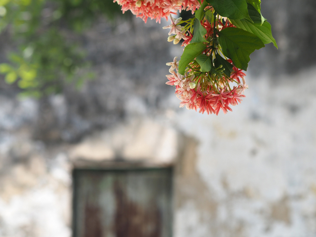 P5030689