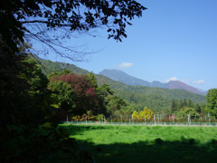 う散歩した牧草地