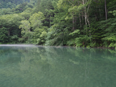 大正池　②