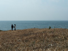 草原と海