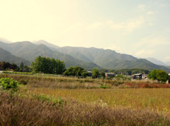 安曇野　秋Ⅱ