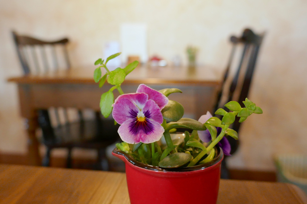 テーブルと草花