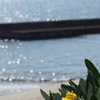 海　1