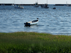 海　9