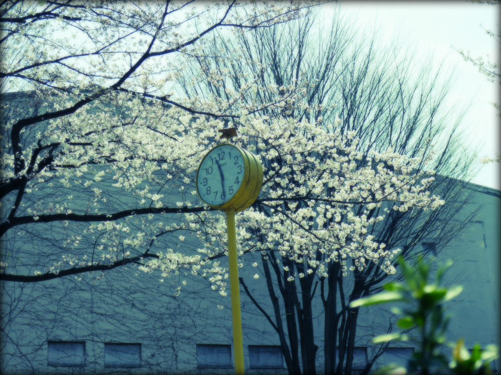 公園の時計
