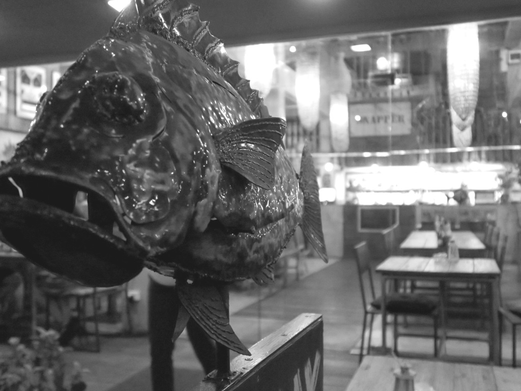 魚っ！
