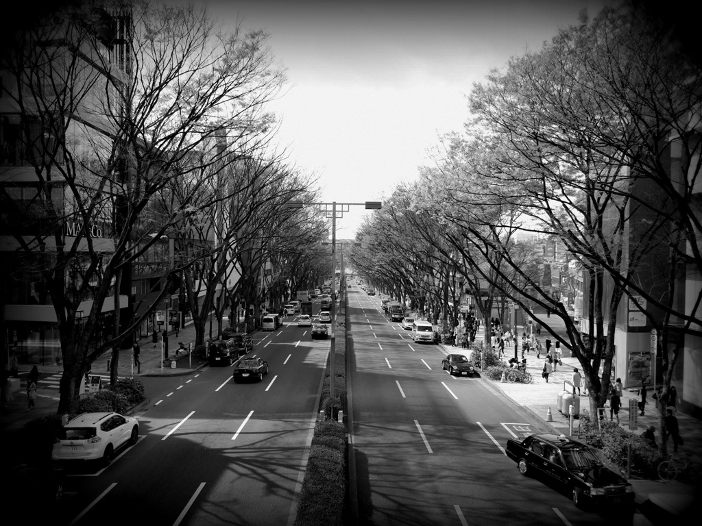 歩道橋の上から～～♪