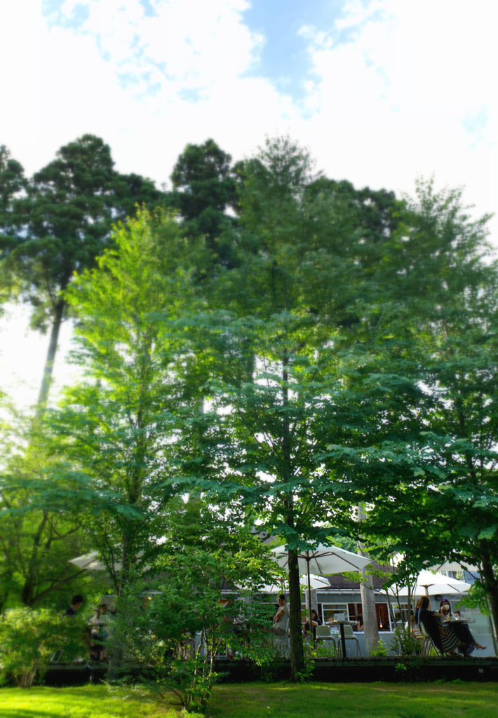 Nasu　cafe　②