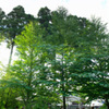 Nasu　cafe　②