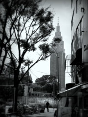 DoCoMoタワー
