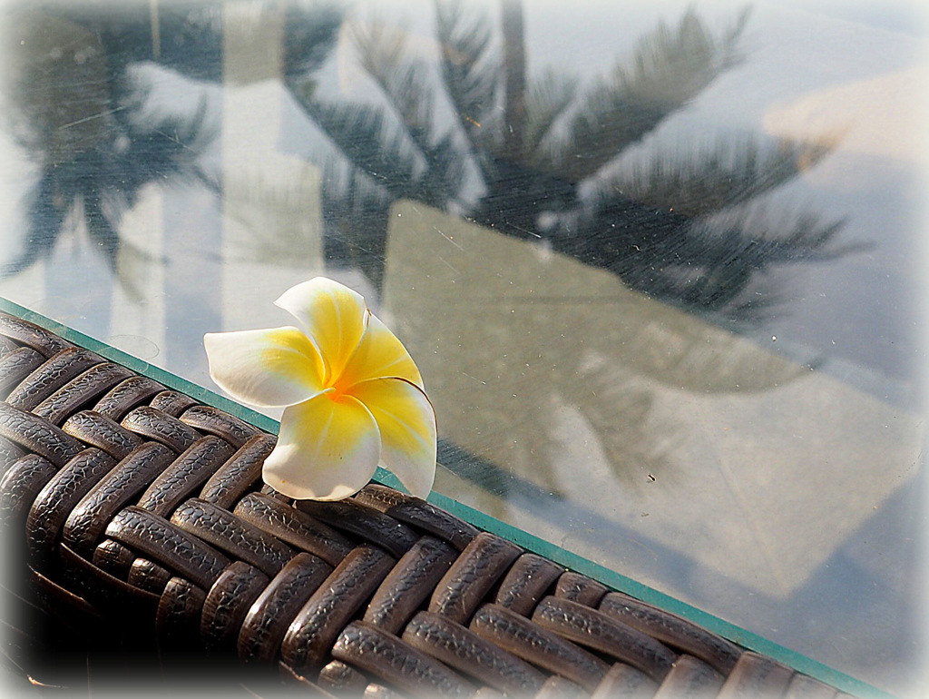 P5030609
