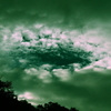 P7130142