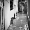 神楽坂散策　④