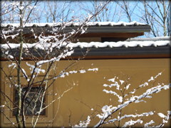 屋根の雪、これっぽっち…