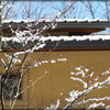 屋根の雪、これっぽっち…