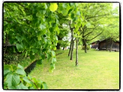 2014.ＧＷ　安曇野　ちひろの庭
