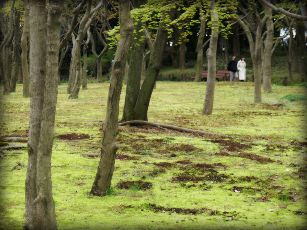 北の丸公園へ　③