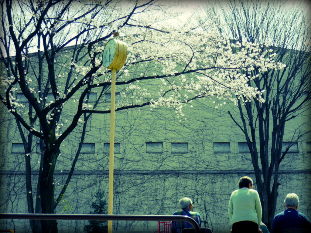 公園のお年寄り