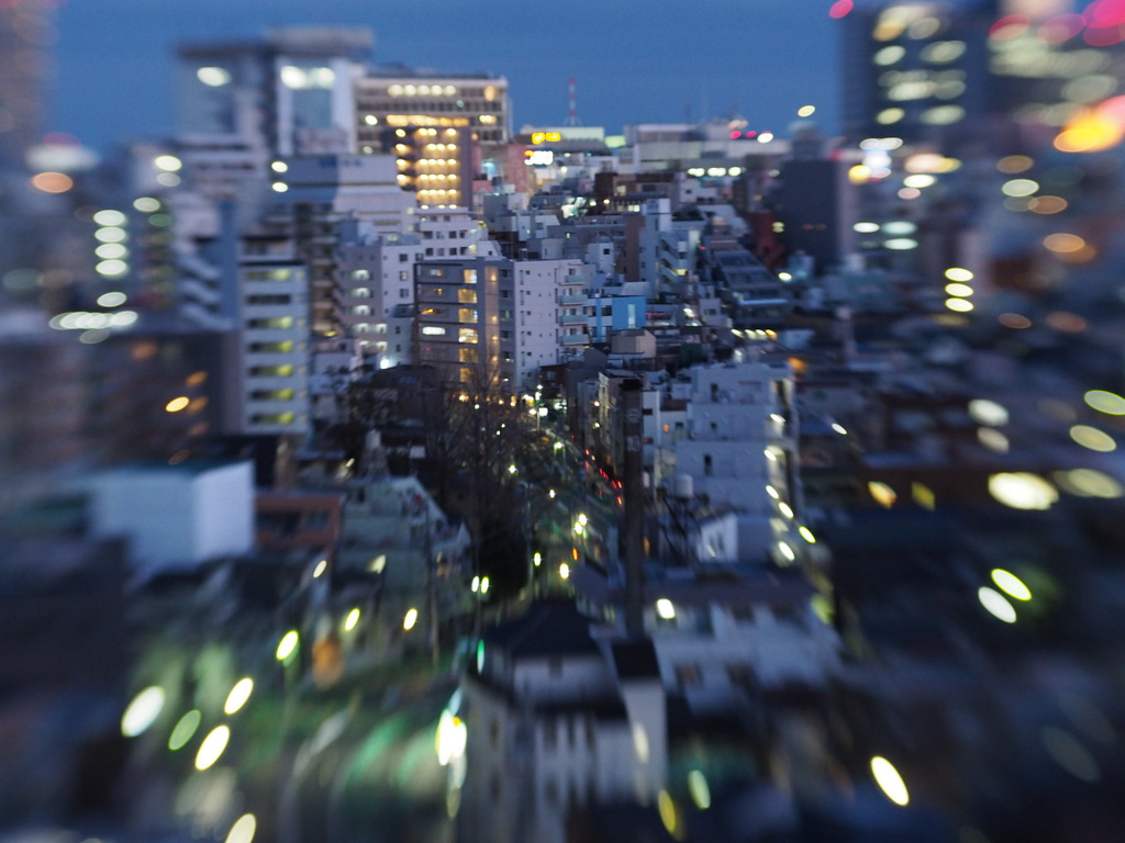 レンズベビーの夜景