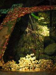水鏡