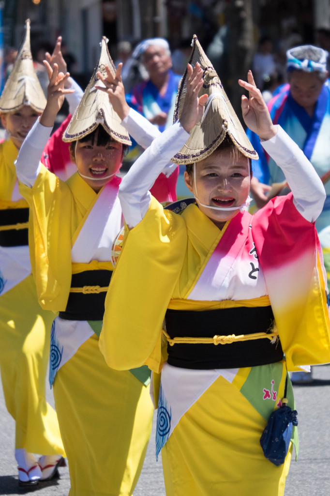 踊る阿呆に