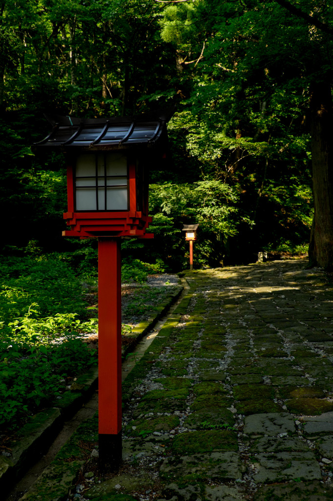 大神山神社奥宮の参道