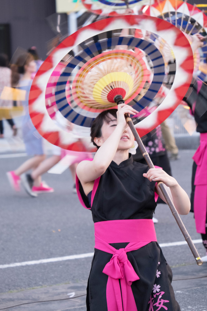 鳥取　しゃんしゃん祭り