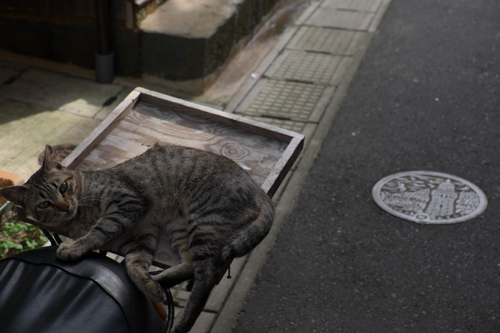 ニケツで行こう！