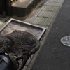 ニケツで行こう！