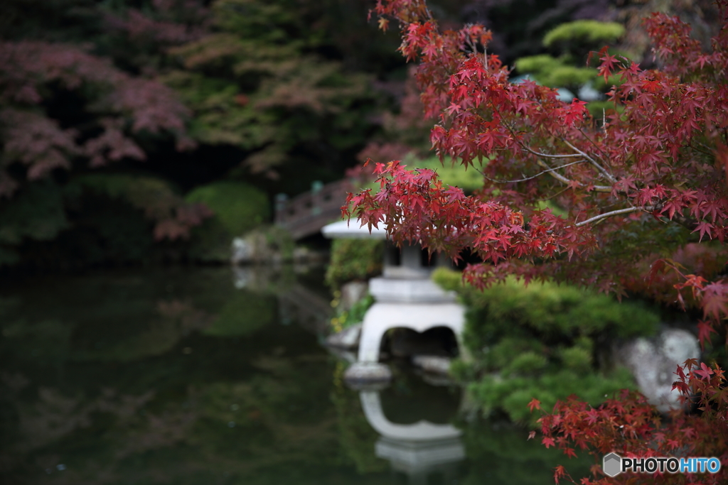 紅葉2016 下関 長府庭園 3