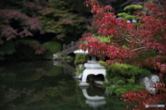 紅葉2016 下関 長府庭園 3