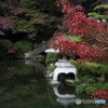 紅葉2016 下関 長府庭園 3