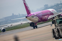 福岡空港 Peachなお尻