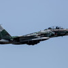 築城基地アグレッサー 飛来 4