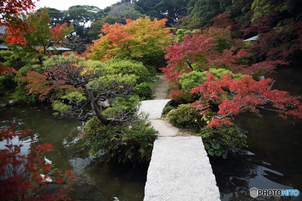 紅葉2016 下関 長府庭園 2