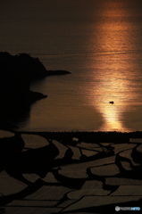 浜野浦の棚田