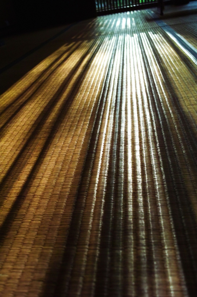 Collaboration of TATAMI aNd the shAdow