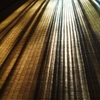 Collaboration of TATAMI aNd the shAdow