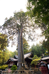 Fuji SeNgen-jinjA