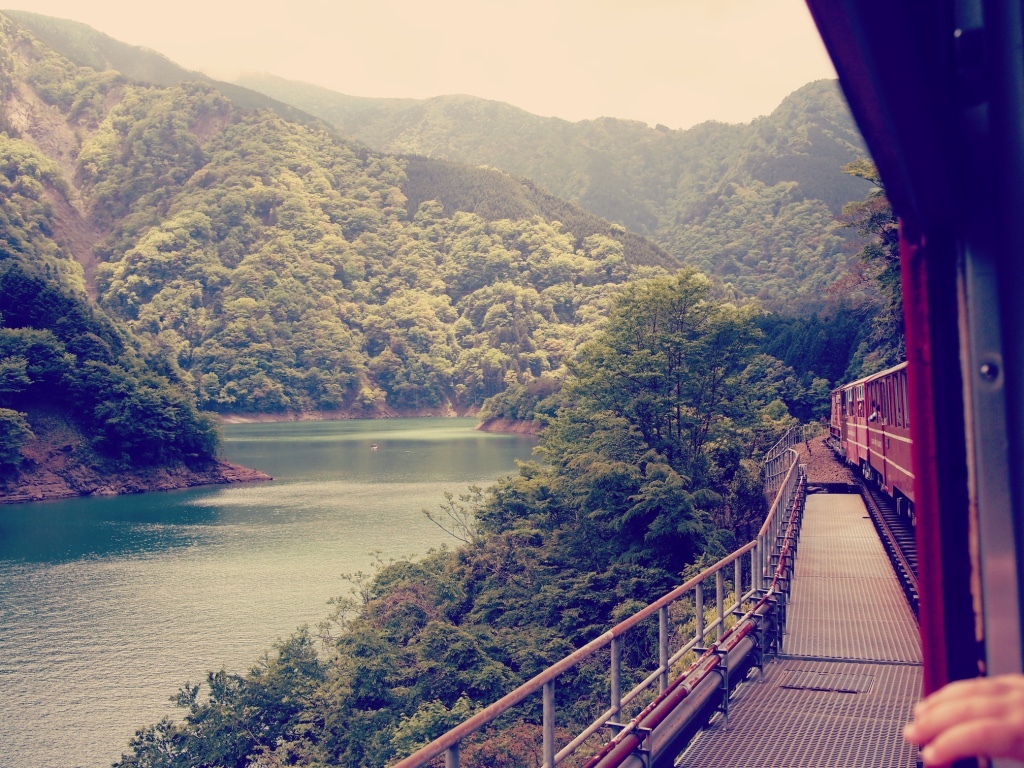 The landscape fRom tHe trAin